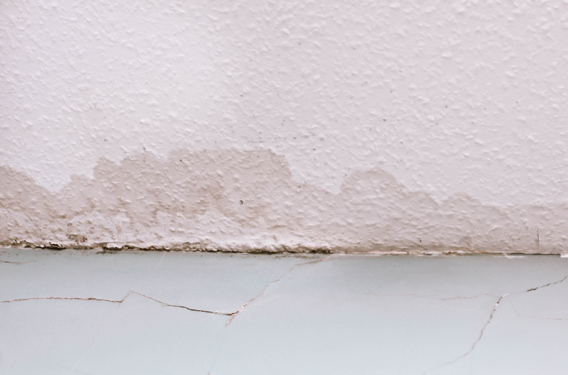 Dark spots, cracked walls, and peeling paint, all signs of water damage, caused by a roof leak