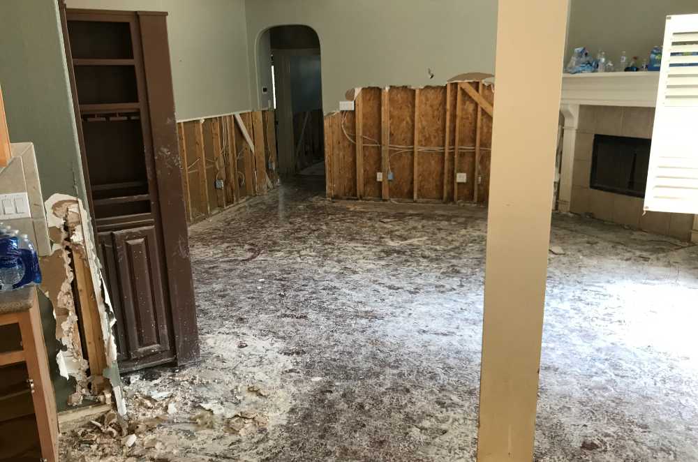 7 Signs of Water Damage at Home