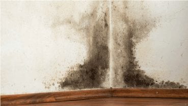 7 Signs of Water Damage to Watch for This Spring