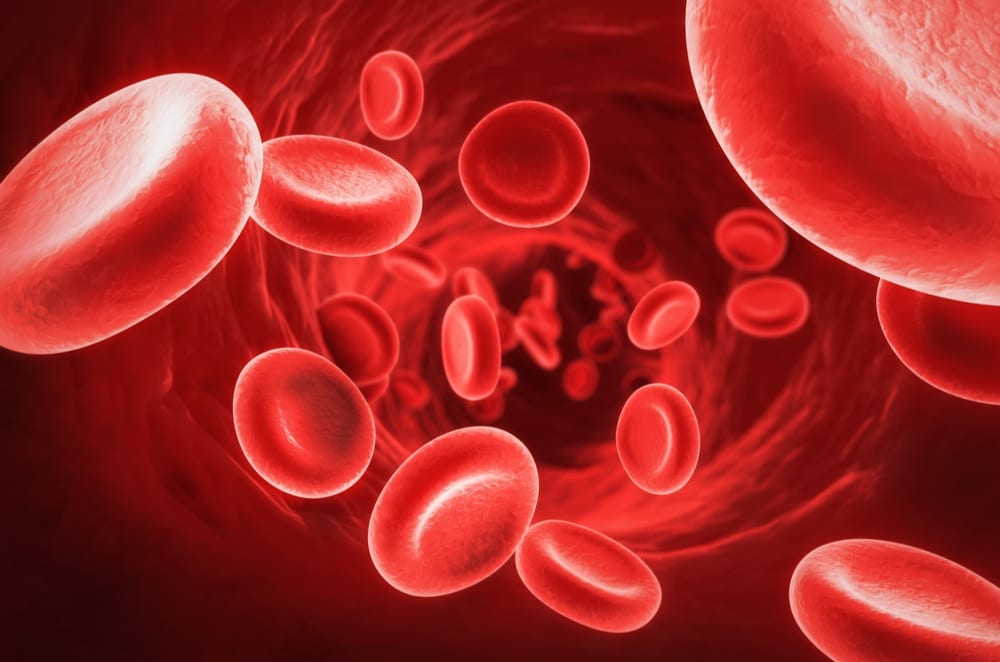 bloodborne pathogen cleanup - get safe, reliable blood cleanup services