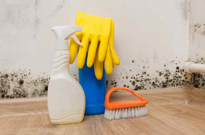 Does Bleach Kill Mold? - How to Kill Mold