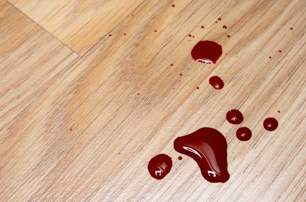 blood spill cleanup - safely removing blood and bodily fluids