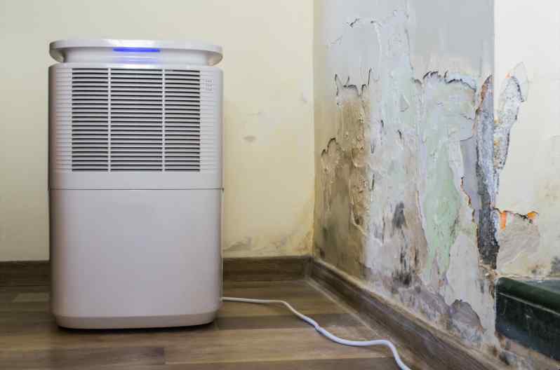 Drying Water Damage With a Dehumidifier | Structural Drying Dehumidifier