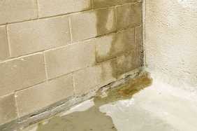 What To Do After a Water Main Break - Step 1 - Look for water