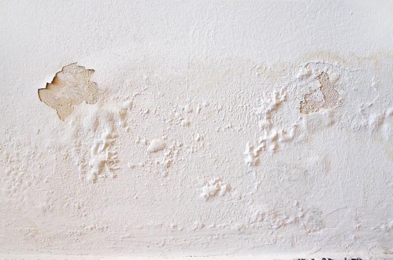 Paint peeling and bubbling on a damp wall after a roof leak.