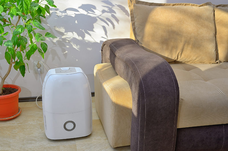 A refrigerant dehumidifier in the living room.