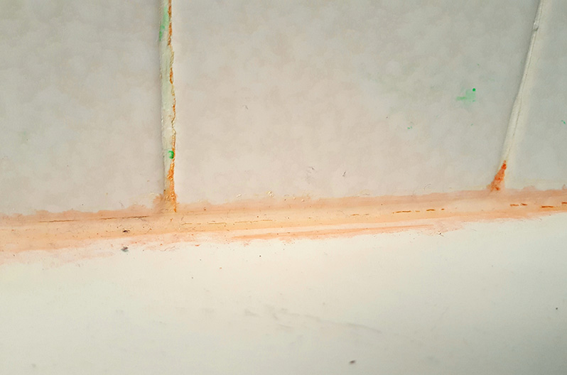 Pink bacteria that is often called pink mold growing on grout in the shower.