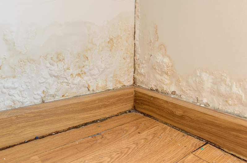 Do's and Don'ts After Water Damage