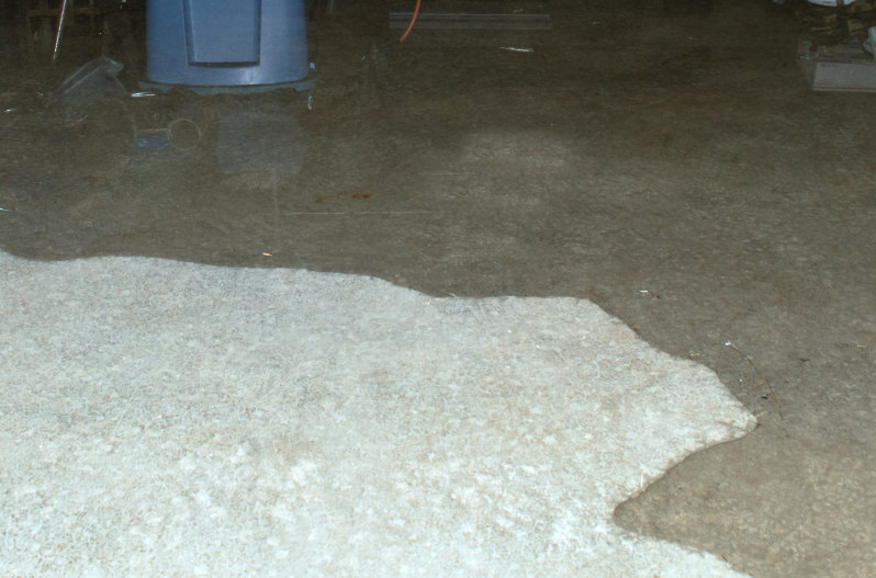 Water covering the floor showcases the importance of knowing what to do with a flooded basement