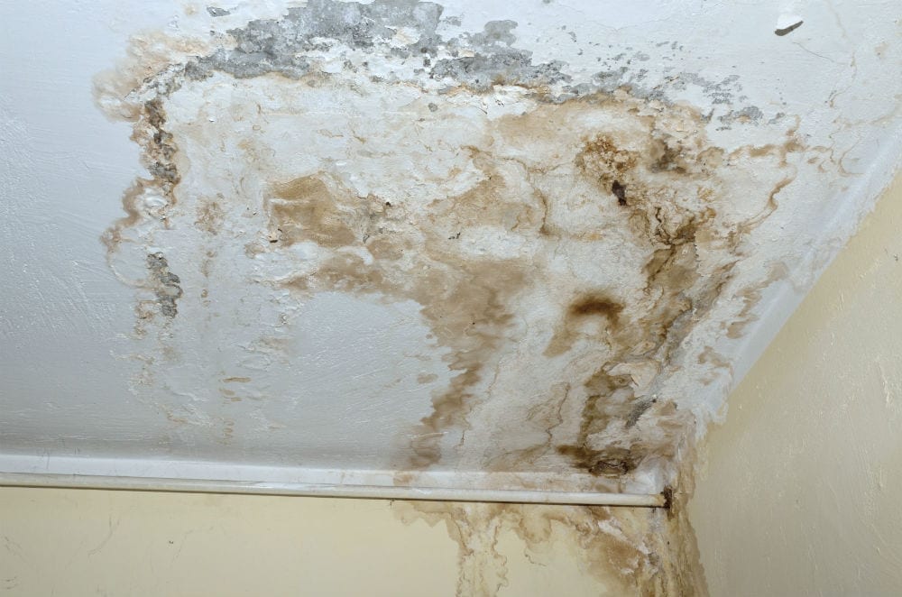water damage from molding