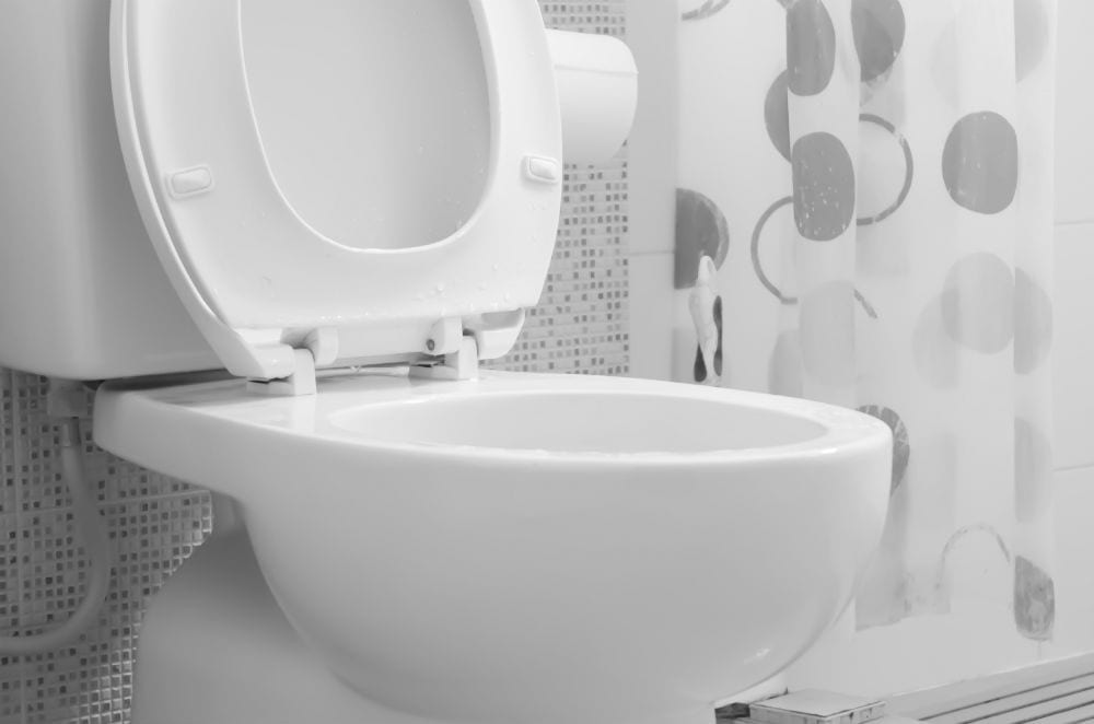 Water Damage from a Toilet Overflow Cleaning Up and Preventing Damage