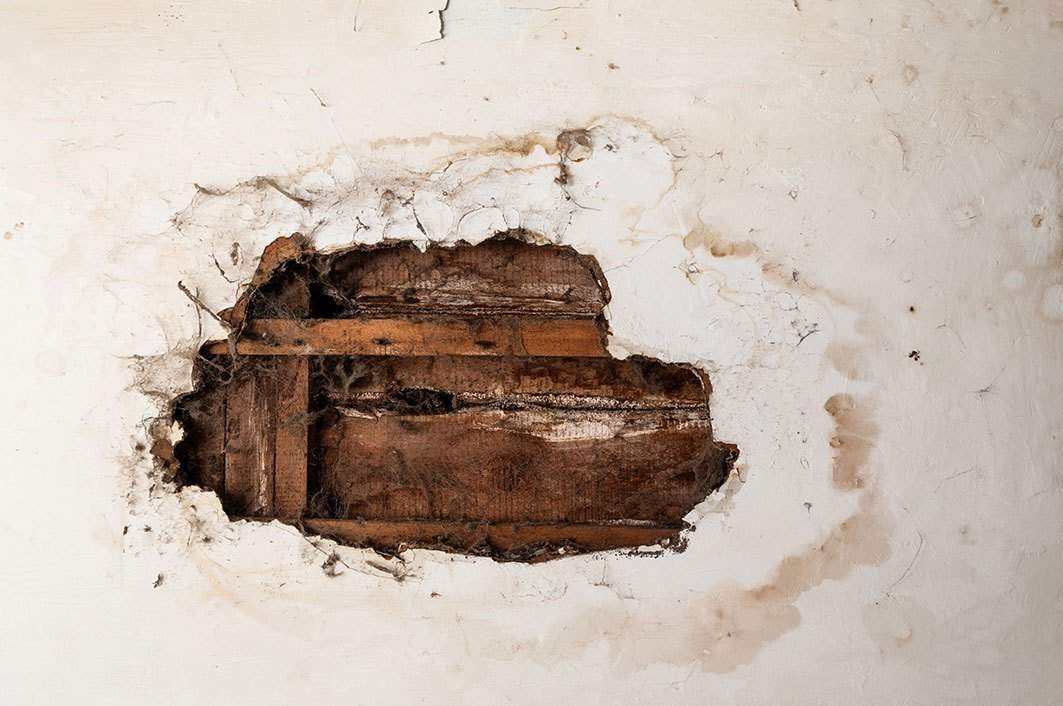 Water Damage Claim - Restoration Local Water Damage Claim -
